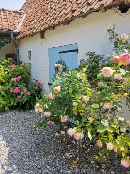 Le Clos De La Rose Gite Bien Etre Wirwignes Exterior foto