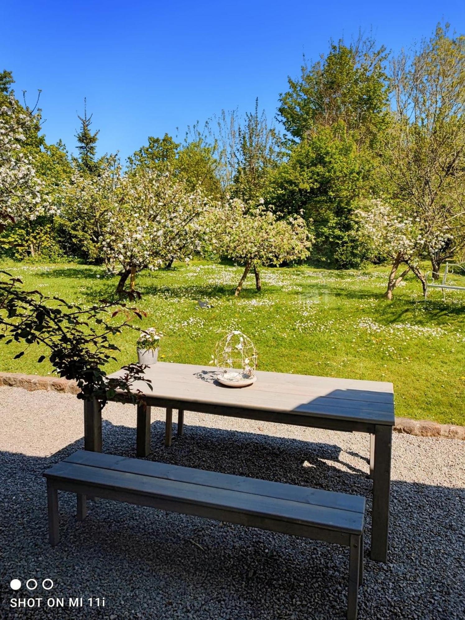 Le Clos De La Rose Gite Bien Etre Wirwignes Exterior foto